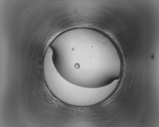 X0000115621097200912011609