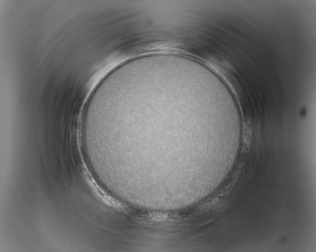 X0000115621098200912011609