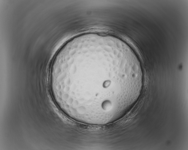 X0000115621099200912011609