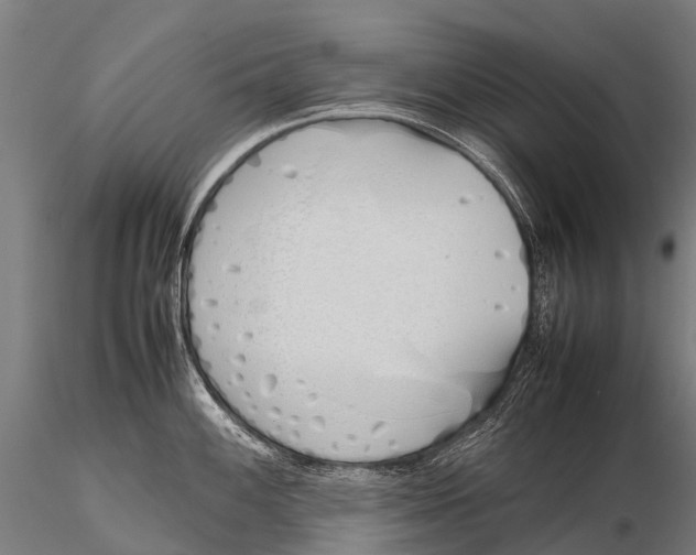 X0000115621100200912011609