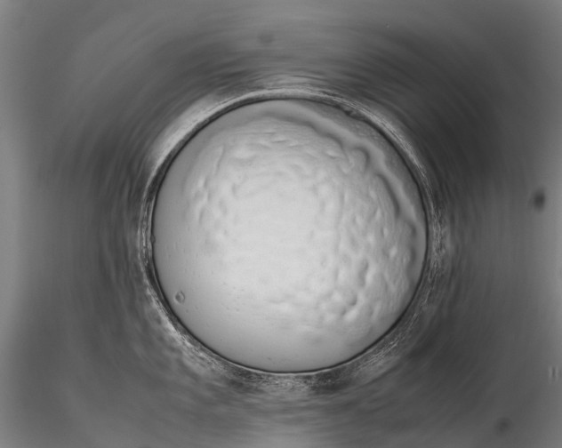 X0000115621101200912011609