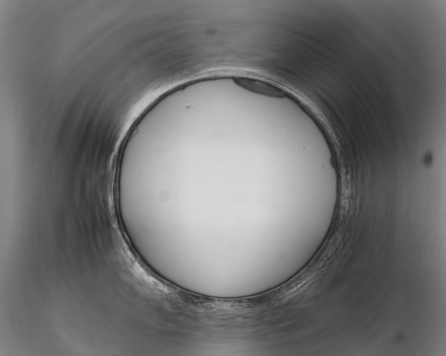 X0000115621102200912011609