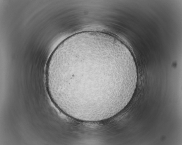 X0000115621103200912011609