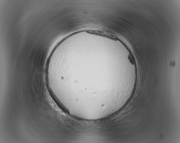 X0000115621104200912011609