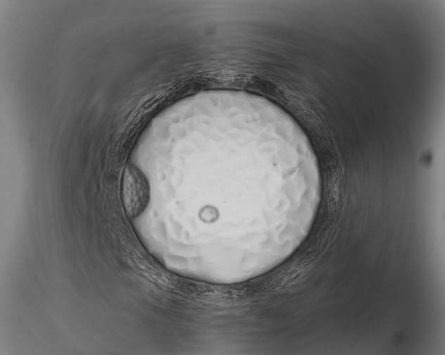 X0000115621105200912011608