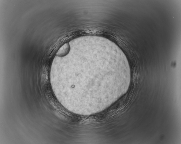 X0000115621106200912011608