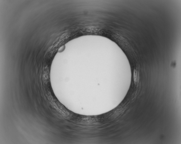 X0000115621107200912011608