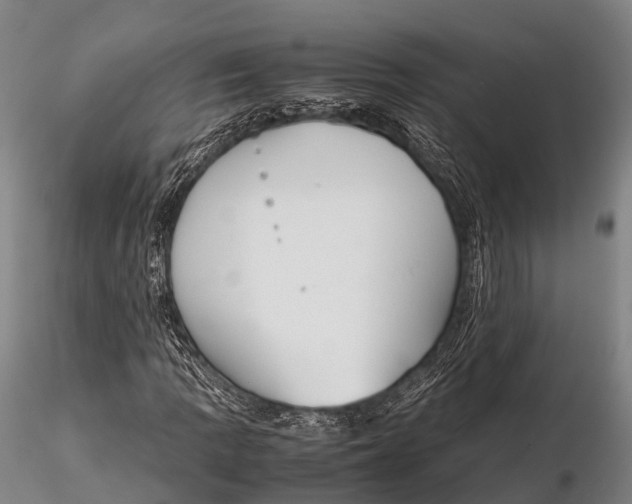 X0000115621109200912011608