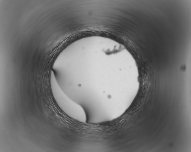 X0000115621110200912011608