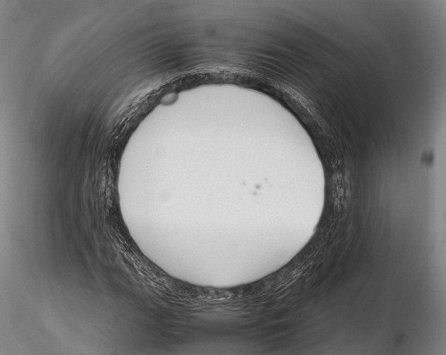 X0000115621111200912011608