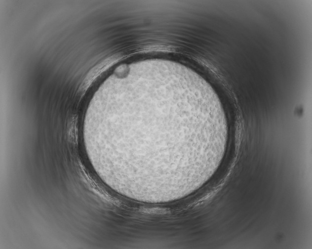 X0000115621113200912011608