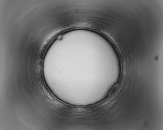 X0000115621115200912011608