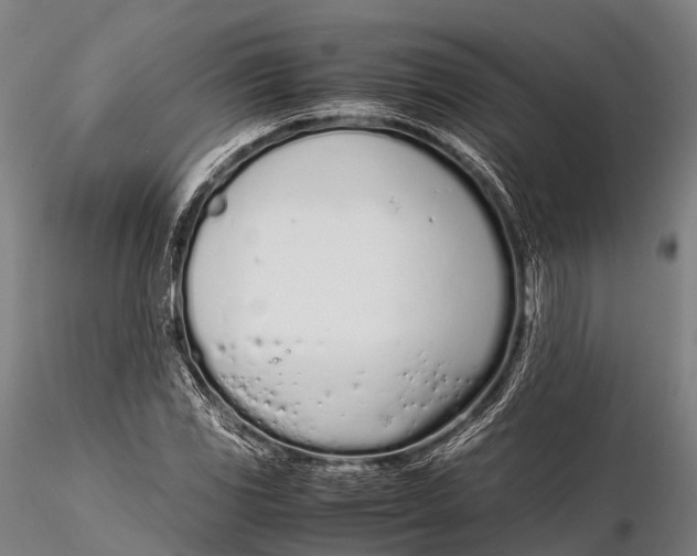 X0000115621117200912011608