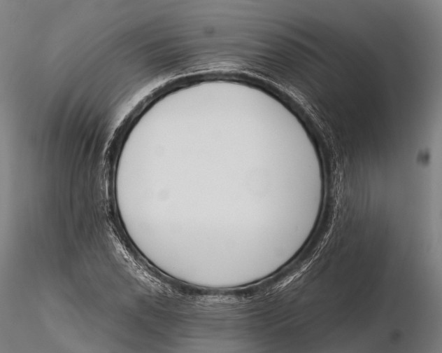 X0000115621118200912011608