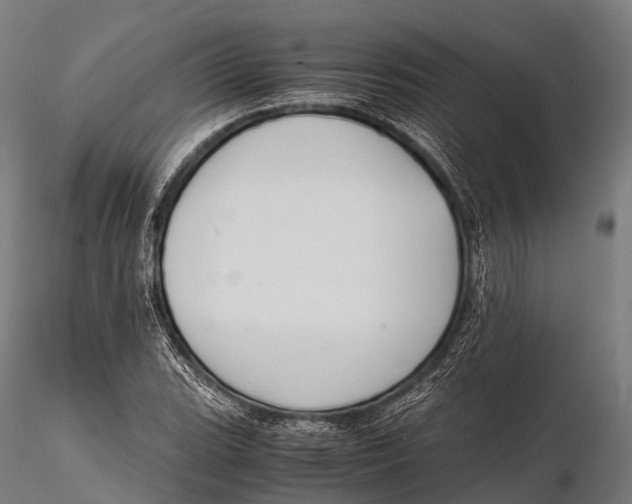 X0000115621119200912011608