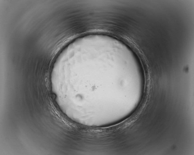 X0000115621121200912011608