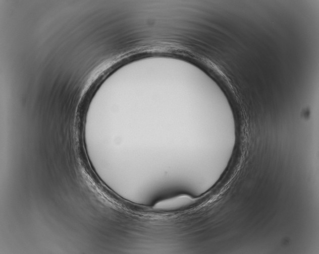 X0000115621122200912011608