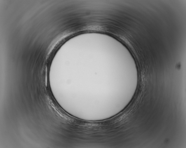 X0000115621123200912011608