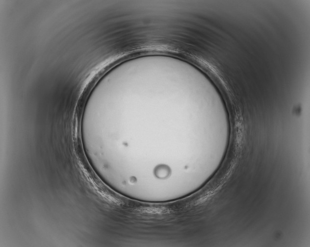 X0000115621125200912011608