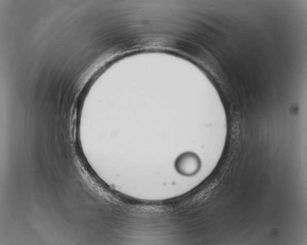 X0000115621126200912011608