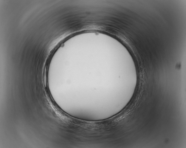 X0000115621127200912011608