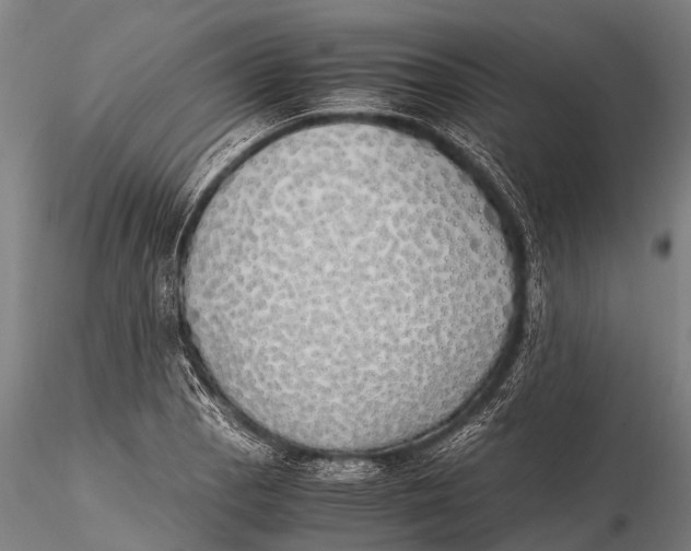 X0000115621129200912011608