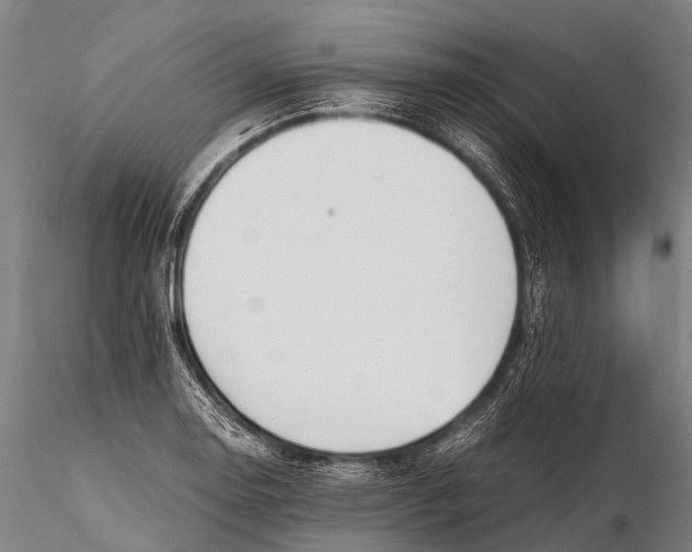 X0000115621130200912011608