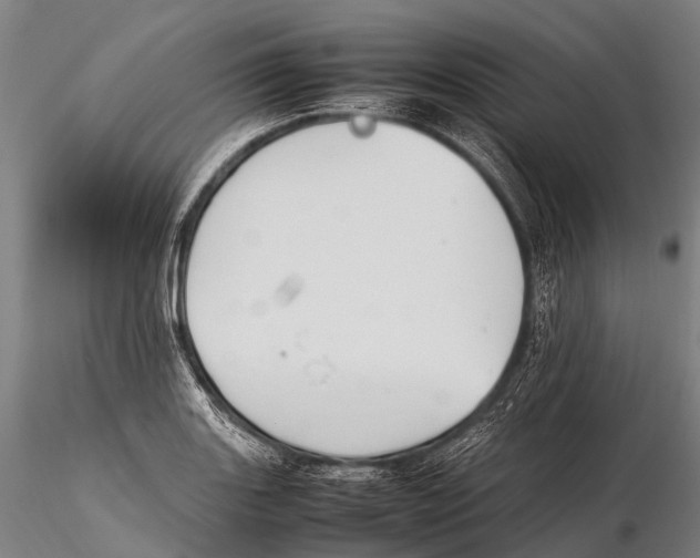 X0000115621131200912011608