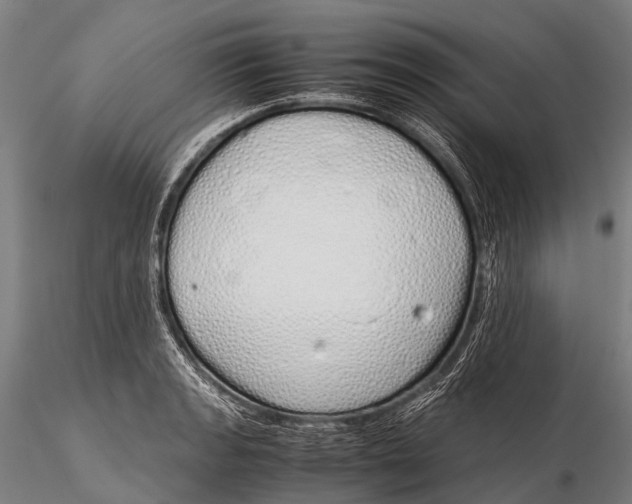 X0000115621133200912011608