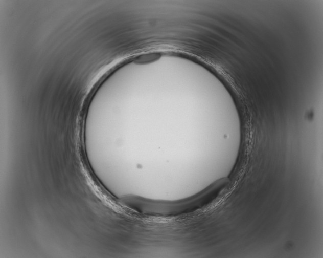 X0000115621134200912011608