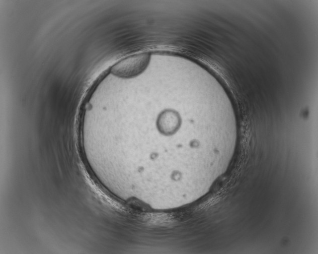 X0000115621135200912011608