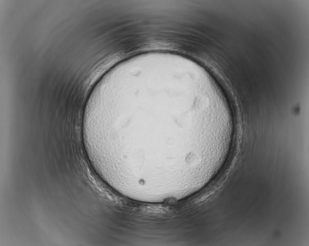 X0000115621137200912011608