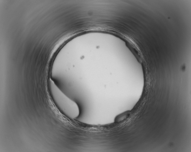 X0000115621138200912011608