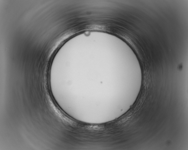 X0000115621139200912011608