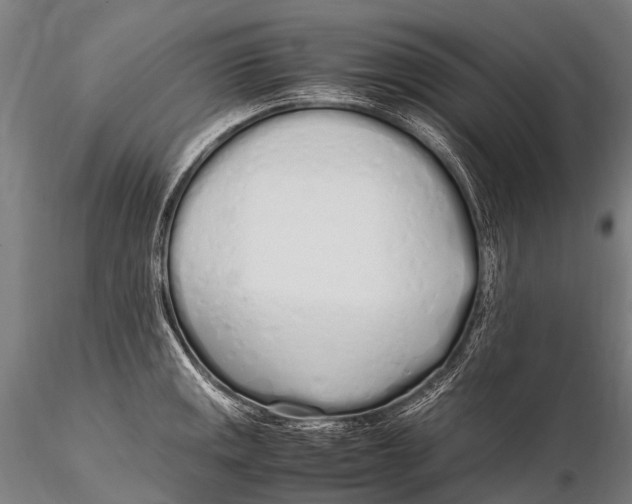 X0000115621141200912011608