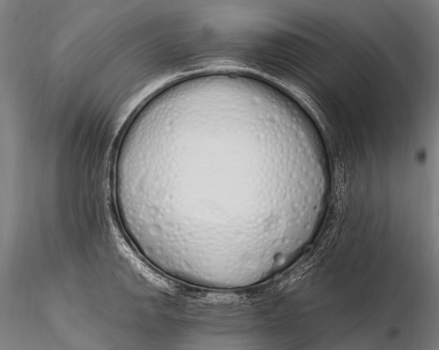 X0000115621142200912011608