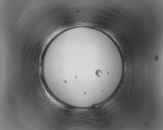 X0000115621143200912011608