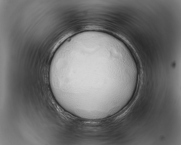 X0000115621145200912011608