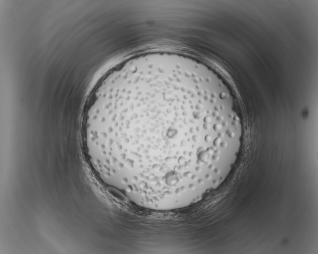 X0000115621146200912011608