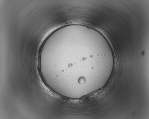 X0000115621147200912011608