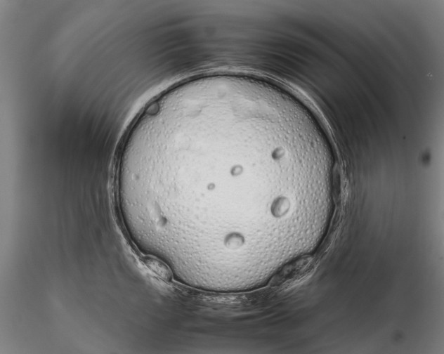 X0000115621149200912011609