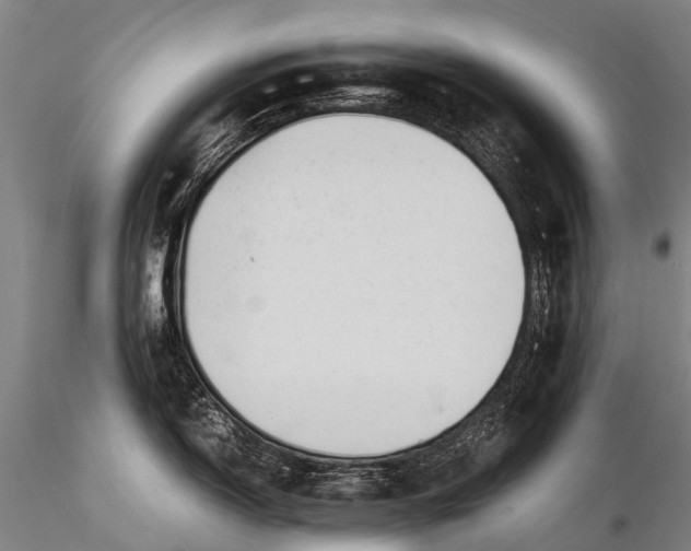 X0000115621150200912011609