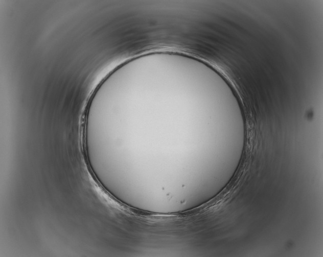 X0000115621151200912011609