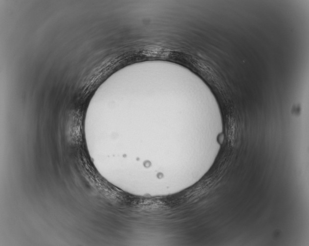 X0000115621154200912011608