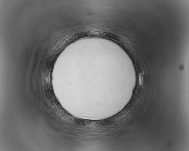 X0000115621155200912011608