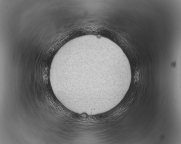 X0000115621156200912011608