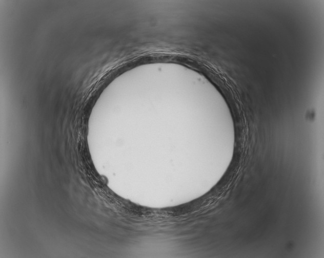 X0000115621157200912011608