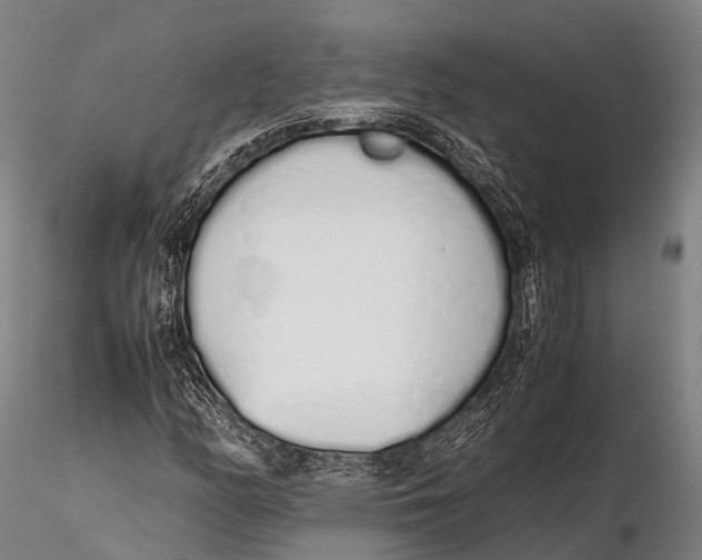 X0000115621158200912011608