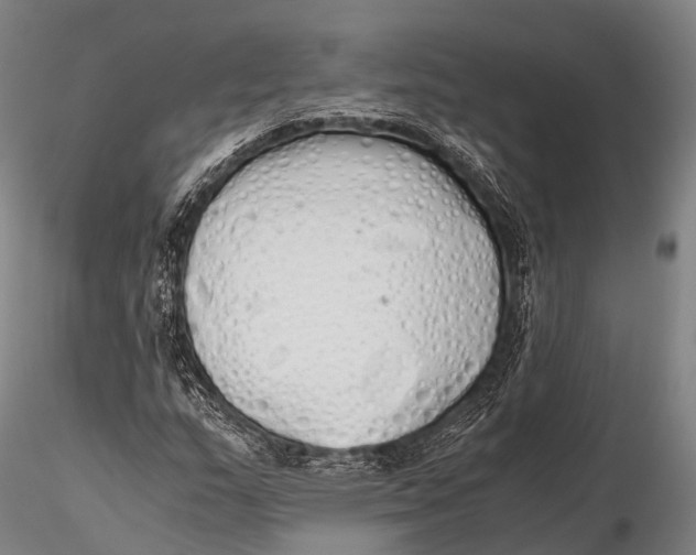 X0000115621159200912011608