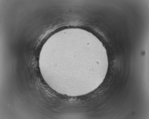 X0000115621160200912011608